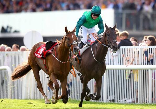 Sport Themen der Woche KW31 Sport Bilder des Tages 2019 Galway Racing Festival Day 3, Ballybrit, Galway 31 7 2018 thetote.com Galway Plate Luke Dempsey on Borice goes clear to win the Galway Plate Gordon Elliott and jockey Luke Dempsey on Borice goes clear to win the Galway Plate 31 7 2018  Copyright: x©INPHO JamesxCrombiex JDDE9227a