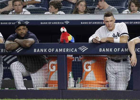 Bilder des Jahres 2019, Sport 08 August Sport Themen der Woche KW31 Sport Bilder des Tages A stuffed parrot doll for Edwin Encarnacion sits on the dug out rail while New York Yankees CC Sabathia and Aaron Judge while Mike Tauchman stands at the plate with the bases loaded in the 7th inning in game two of a doubleheader against the Boston Red Sox at Yankee Stadium in New York City on Saturday, August 3, 2019.  NYP20190803124 JOHNxANGELILLO