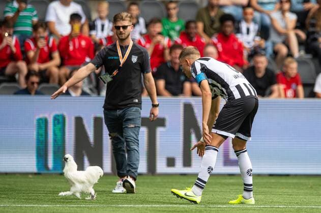 Bilder des Jahres 2019, Sport 08 August Sport Themen der Woche KW31 Sport Bilder des Tages Fans of Heracles put a chicken on the pitch to show their dissatisfaction of the new stadium name, Dario van den Buijs of Heracles Almelo tries to catch it during the Dutch Eredivisie match between Heracles Almelo and sc Heerenveen at Erve Asito stadium on August 04, 2019 in Almelo, The Netherlands Dutch Eredivisie 2019 2020 xVIxVIxImagesx xLarsxSmookxIVx 200690588