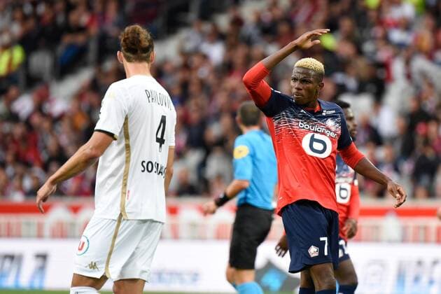 Fußball, OSC Lille - SCO Angers Altercation entre Victor Osimhen ( LOSC ) - Mateo Pavlovic ( Angers ) FOOTBALL : Lille OSC vs Angers SCO - Ligue 1 - Lille - 13 09 2019 FedericoPestellini Panoramic 