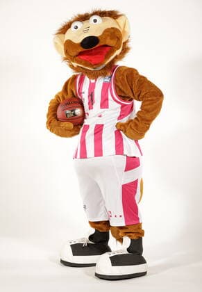 Telekom Baskets Bonn 2019 2020 Hier: Maskottchen Bonni