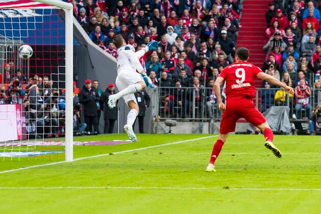 GER, 1.FBL, FC Bayern Muenchen vs. TSG 1899 Hoffenheim 05.10.2019, Allianz Arena, Muenchen, GER, 1.FBL, FC Bayern Muenchen vs. TSG 1899 Hoffenheim, DFL regulations prohibit any use of photographs as image sequences and or quasi-video, im Bild Tor zum 1-1 durch Robert Lewandowski (FCB 9) mit Oliver Baumann (Hoffenheim 1) *** GER, 1 FBL, FC Bayern Muenchen vs. TSG 1899 Hoffenheim 05 10 2019, Allianz Arena, Muenchen, GER, 1 FBL, FC Bayern Muenchen vs. TSG 1899 Hoffenheim, DFL regulations prohibit any use of photographs as image sequences and or quasi video, in the picture Tor zum 1 1 by Robert Lewandowski FCB 9 with Oliver Baumann Hoffenheim 1 nordphotox xStraubmeier nph00004