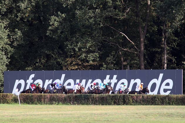 03.10.2019, Hoppegarten, Brandenburg, GER - Pferde und Jockeys vor dem pferdewetten.de-Schild. Galopprennbahn Hoppegarten. (Pferde, Jockeys, pferdewetten.de-Schild, Schild, Galopp, Galopprennsport, Pferderennsport, Werbung, Sponsor, Wettanbieter, Buchmacher, Internetwette, Pferdewette) 191003D451HOPPEGARTEN.JPG