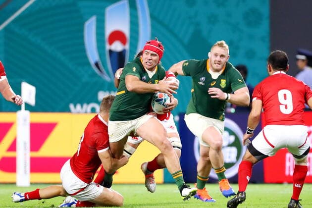 Schalk Brits (RSA), OCTOBER 8, 2019 - Rugby : 2019 Rugby World Cup Pool B match between South Africa 66-7 Canada at Kobe Misaki Stadium in Kobe, Hyogo, Japan.  (114032291)