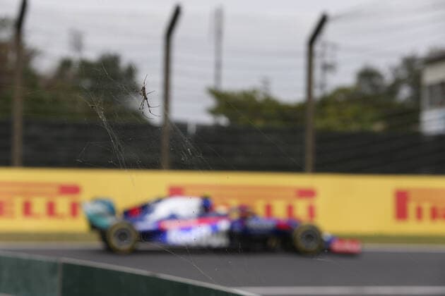 Photo4 LaPresse 11 10 2019 Suzuka, Japan Grand Prix Formula One Japan 2019 In the pic: Naoki Yamamoto (JPN) Scuderia Toro Rosso STR14 3rd driver  Copyright: xPhoto4 LaPressex
