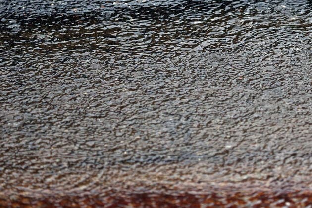 Photo4 LaPresse 12 10 2019 Suzuka, Japan Grand Prix Formula One Japan 2019 In the pic: Rain and Wind for the Typhoon Hagibis  Copyright: xPhoto4 LaPressex