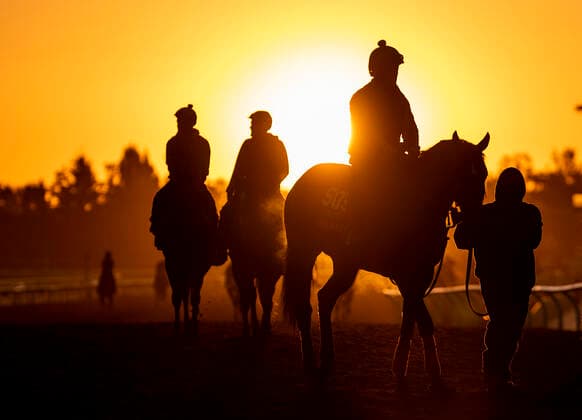 Bilder des Jahres 2019, Sport 10 Oktober October 28, 2019, Arcadia, California, USA: OCT 28: Breeders Cup Sprint entrant Shancelot, trained by Jorge Navarro, at Santa Anita Park in Arcadia, California on Oct 28, 2019. Eclipse Sportswire Breeders Cup CSM Horse Racing 2019: Breeders Cup Preparations OCT 28 - ZUMAcs17 20191028_zaf_cs17_038 Copyright: xEversx