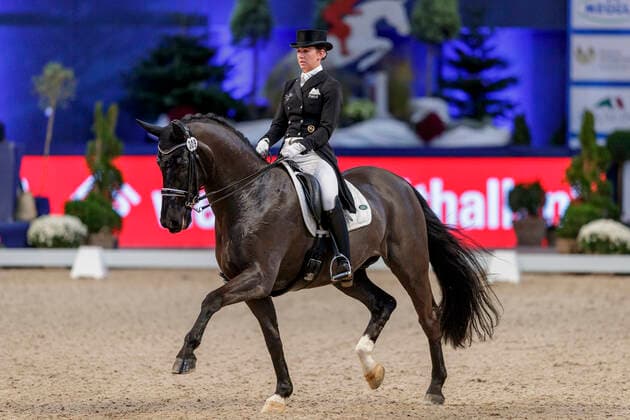 Bilder des Jahres 2019, Sport 11 November Sport Bilder des Tages München - Munich Indoors 2019, MÜLLER Lisa (GER), Birkhof s Dave FBW München - Munich Indoors 2019 Preis der Liselott und Klaus Rheinberger Stiftung Grand Prix de Dressage (CDI4*) Wertungsprüfung MEGGLE Champions of Honour, Qualifikation für Kür 21. November 2019 Â© - *** Munich Munich Indoors 2019, MÜLLER Lisa GER , Birkhof s Dave FBW Munich Munich Indoors 2019 Prize of the Liselott and Klaus Rheinberger Foundation Grand Prix de Dressage CDI4 Special MEGGLE Champions of Honour, Qualification for Free Dance 21 November 2019 Â©