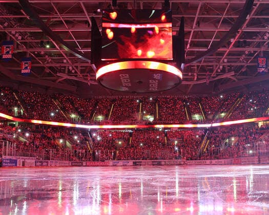 Ueberblick vor dem Spiel der Leuchtenden Herzen beim Spiel der Adler Mannheim gegen die Straubing Tigers in der DEL am 22.12.2019, Adler Mannheim - Straubing Tigers, Eishockey, DEL, 22.12.2019 Mannheim Copyright: xMichaelxBermel Eibner-Pressefotox EP_mbl