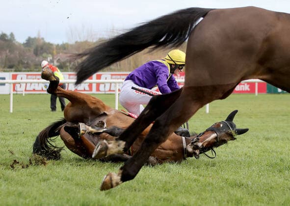 2020 Bilder des Jahres, Sport 02 Februar Sport Themen der Woche KW05 EDITORIAL USE ONLY 2020 Dublin Racing Festival, Leopardstown Racecourse, Dublin 1 2 2020 Cilaos Emery ridden by Danny Mullins falls in The Ladbrokes Dublin Steeplechase Cilaos Emery ridden by Danny Mullins falls 1 2 2020  Copyright: x©INPHO BryanxKeanex CK3I0464