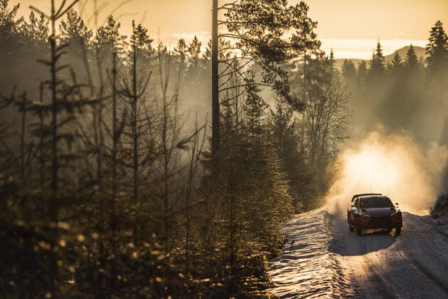 WRC, Rallye Schweden Tanak RALLYE : WRC, Motorsport Rallye, WM Rallye de Suede - 14-15 02 2020 SPRESSE PANORAMIC 