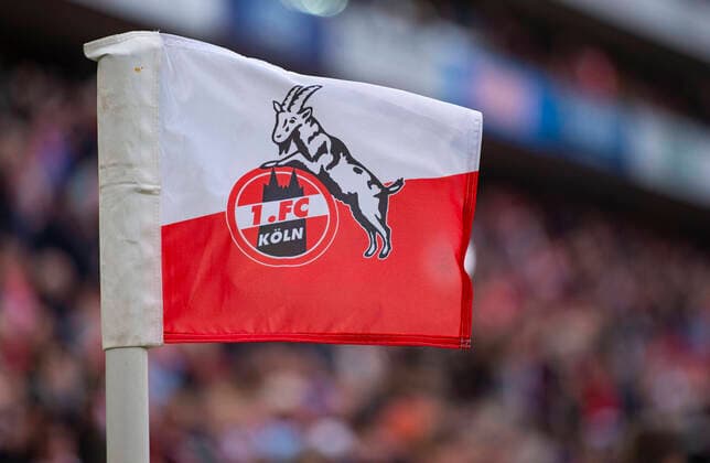 Fußball: 1. Bundesliga, Saison 2019 2020, 22. Spieltag, 1.FC Köln - FC Bayern München am 16.02.2020 im RheinEnergieStadion in Köln (Nordrhein-Westfalen). Eckfahne, Logo, Hennes, Hinterleger, Feature, Allgemein, DFL REGULATIONS PROHIBIT ANY USE OF PHOTOGRAPHS AS IMAGE SEQUENCES AND OR QUASI-VIDEO. *** Football 1 Bundesliga, Season 2019 2020, 22 Matchday, 1 FC Köln FC Bayern Munich on 16 02 2020 at the RheinEnergieStadion in Cologne North Rhine-Westphalia Corner Flag, Logo, Hennes, Backer, Feature, General, DFL REGULATIONS PROHIBIT ANY USE OF PHOTOGRAPHS AS IMAGE SEQUENCES AND OR QUASI VIDEO Copyright: xNeundorf Kirchner-Mediax