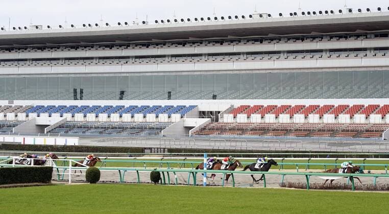 Galopp, Rennen auf der Nakayama-Rennbahn finden zum Schutz vor dem Coronavirus ohne Zuschauer statt New coronavirus A Japan Racing Association horse race is held with spectators shut out at Nakayama Racecourse in Funabashi, near Tokyo, on Feb. 29, 2020, amid the spread of the new coronavirus. 