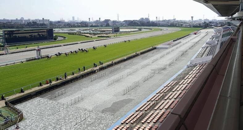 Galopp, Rennen auf der Nakayama-Rennbahn finden zum Schutz vor dem Coronavirus ohne Zuschauer statt New coronavirus A Japan Racing Association horse race is held with spectators shut out at Nakayama Racecourse in Funabashi, near Tokyo, on Feb. 29, 2020, amid the spread of the new coronavirus. 