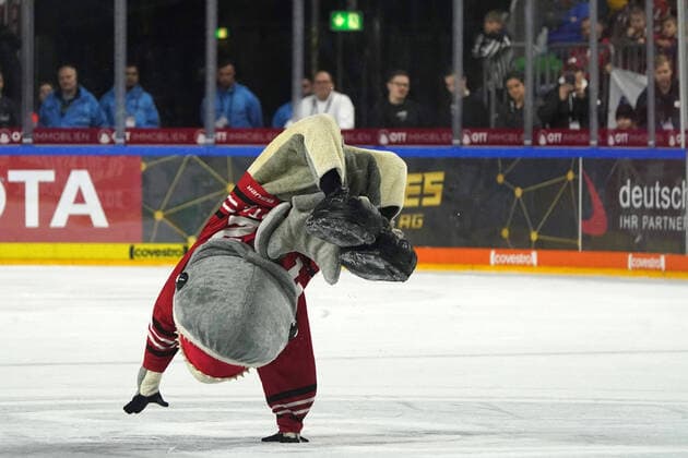 Sport Bilder des Tages Köln, 1. DEL, Saison 2019 2020, Kölner Haie vs Eisbären, Eisbaeren Berlin , 01.03.2020, Lanxessarena Köln, Sharky, Maskottchen, Kölner Haie,