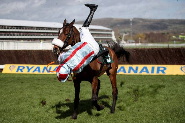 Bilder des Jahres 2020, Sport 03 März Sport Themen der Woche KW11 Sport Bilder des Tages 2020 Cheltenham Festival, Prestbury Park, Cheltenham, England 12 3 2020 Marsh Novices Chase Gavin Sheehan falls from Itchy Feet Gavin Sheehan falls from Itchy Feet 12 3 2020  Copyright: x INPHO DanxSheridanx DAN12733