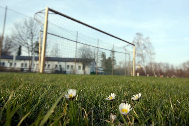16.03.2020 - Sportstätte in Zeiten des Coronavirus Corona-Virus Corona Virus - DaMa - Symbolbild Symbolfoto Feature Impression - Amateure Amateurfußball - Fußballplatz - hochgeklapptes Fußballtor Tor - in Zeiten des Corona Virus Coronavirus - Blümnchen auf Fußballplatz