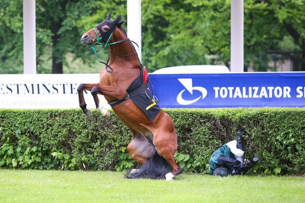 Bilder des Jahres 2020, Sport 05 Mai Sport Themen der Woche KW22 Sport Bilder des Tages Pferdesport, Galopp, Renntag in Warschau, Grease de Bozouls wirft Jockey ab WARSZAWA 31.05.2020 WYSCIGI KONNE TOR SLUZEWIEC SEZON 2020 6. DZIEN WYSCIGOWY --- HORSE RACING 6TH DAY N Z KON GREASE DE BOZOULS DZOKEJ KAMIL GRZYBOWSKI FOT. ANNA KLEPACZKO FOTOPYK NEWSPIX.PL --- Newspix.pl  200531LUM037