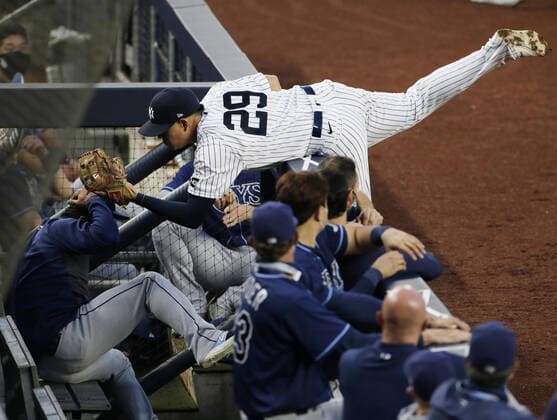 Bilder des Jahres 2020, Sport 08 August Sport Themen der Woche KW34 Sport Bilder des Tages New York Yankees Gio Urshela reaches into the Tampa Bay Rays dug out to catch a foul ball off the bat of Manuel Margot in the third inning at Yankee Stadium on Wednesday, August 19, 2020 in New York City.  NYP20200819108 JOHNxANGELILLO