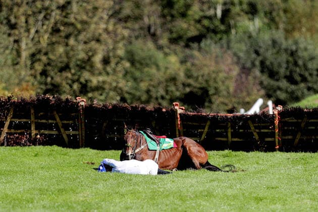 Bilder des Jahres 2020, Sport 09 September Sport Themen der Woche KW39 Sport Bilder des Tages Listowel Racing, Listowel Racecourse, Co. Kerry 23 9 2020 The Remembering Tommy McGivern Maiden Hurdle Donagh Meyler falls from Go Willie Joe Donagh Meyler falls from Go Willie Joe 23 9 2020  Copyright: x INPHO LaszloxGeczox LG1_0256