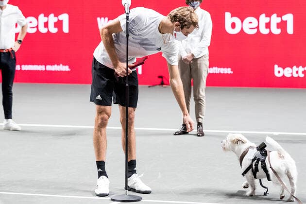 bett1HULKS Indoors - ATP, Tennis Herren 250; Koeln, 18.10.2020 Alexander ZVEREV (GER) ruft den Hund des Titelsponsors zur Siegerehrung bett1HULKS Indoors - ATP 250 am 18.10.2020 in Koeln (LANXESSarena), Deutschland Copyright: xBEAUTIFULxSPORTS Wunderlx