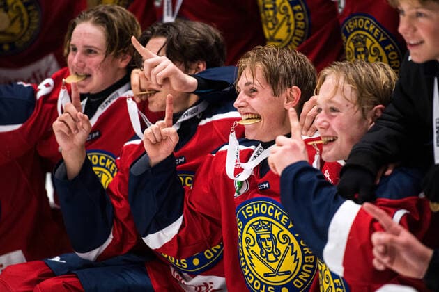 Bilder des Jahres 2020, Sport 11 November Sport Themen der Woche KW44 Sport Bilder des Tages 201101 Stockholm Nords spelare jublar efter finalen i TV-pucken mellan Stockholm Nord och Västerbotten den 1 november 2020 i Umea. *** 201101 Stockholm Nords players cheer after the final in the TV puck between Stockholm Nord and Västerbotten on 1 November 2020 in Umea,  Copyright: ERIKxMARTENSSON BB201101BB540