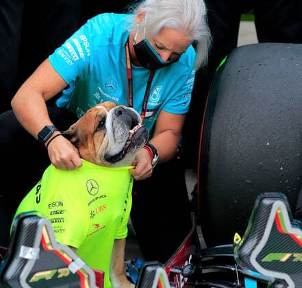 Sport Bilder des Tages Formula 1 Emirates Gran Premio Dell emilia Romagna 2020 01.11.2020, Autodromo Enzo e Dino Ferrari, Imola, Formula 1 Emirates Gran Premio Dell emilia Romagna 2020 , im Bild Gruppenbild der gesamten Mannschaft von Mercedes-AMG Petronas F1 Team zur Feier des siebten Konstrukteursmeisterschaftstitels, Physiotherapeutin Angela Cullen mit Hund Rosko
