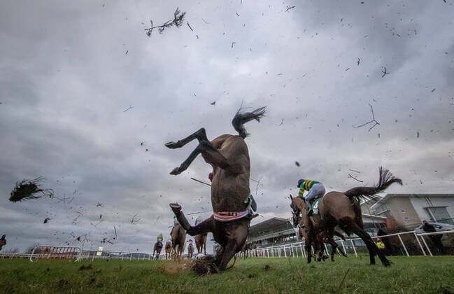 Bilder des Jahres 2021, Sport 02 Februar Sport Themen der Woche KW05 Sport Bilder des Tages EDITORIAL USE ONLY 2021 Dublin Racing Festival - Sunday, Leopardstown Racecourse, Leopardstown, Co. Dublin 7 2 2021 Hugh Morgan takes a fall from Mortal at the last fence in The Gaelic Plant Hire Leopardstown Handicap Steeplechase Hugh Morgan takes a fall from Mortal at the last fence in The Gaelic Plant Hire Leopardstown Handicap Steeplechase 7 2 2021  Copyright: x INPHO MorganxTreacyx AZ0I5075