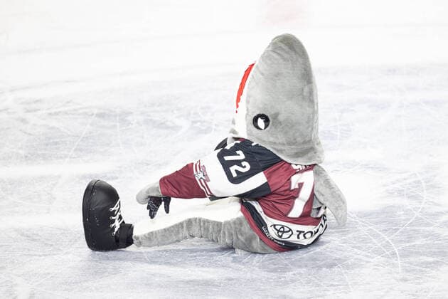 Bilder des Jahres 2021, Sport 03 März Sport Themen der Woche KW13 Bilder des Jahres 2021, Sport 03 März Sport Bilder des Tages PENNY DEL; Koelner Haie - EHC Red Bull Muenchen; Koeln, 31.03.2021 Sharky; PENNY DEL; Koelner Haie - EHC Red Bull Muenchen am 31.03.2021 in der Lanxess Arena in Koeln (Deutschland). *** PENNY DEL Koelner Haie EHC Red Bull Muenchen Koeln, 31 03 2021 Sharky PENNY DEL Koelner Haie EHC Red Bull Muenchen on 31 03 2021 at Lanxess Arena in Koeln Germany Copyright: xBEAUTIFULxSPORTS AndreasxDickx