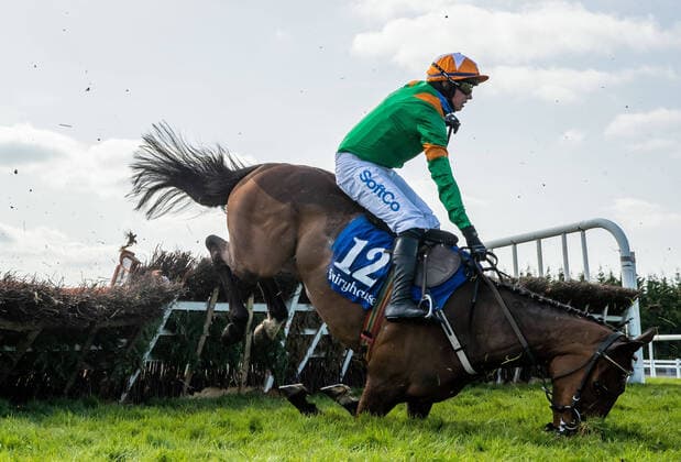 Bilder des Jahres 2021, Sport 04 April Sport Themen der Woche KW13 Sport Bilder des Tages EDITORIAL USE ONLY Fairyhouse Racing Easter Festival, Fairyhouse Racecourse, Ratoath, Co. Meath 4 4 2021 Bryan Cooper takes a fall from Royal Illusion at the last fence in The Irish Stallion Farms EBF Mares Novice Hurdle Championship Final Bryan Cooper takes a fall from Royal Illusion at the last fence in The Irish Stallion Farms EBF Mares Novice Hurdle Championship Final 4 4 2021  Copyright: x INPHO MorganxTreacyx EA3I9038