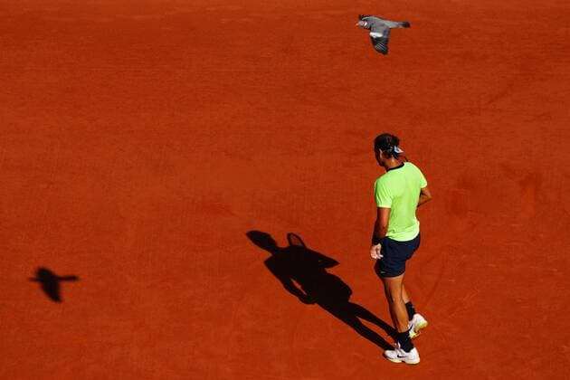 Mandatory Credit: Photo by Javier Garcia BPI Shutterstock (12019129ia) A pigeon flies above Rafael Nadal in fourth round action French Open Tennis, Day Nine, Roland Garros, Paris, France - 07 Jun 2021 French Open Tennis, Day Nine, Roland Garros, Paris, France - 07 Jun 2021  Copyright: xJavierxGarcia BPI Shutterstockx 12019129ia