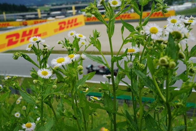 Formula 1 BWT Grosser Preis der Steiermark 2021 25.06.2021, Red Bull Ring , Spielberg, Formula 1 BWT Grosser Preis der Steiermark 2021 , im Bild Valtteri Bottas (FIN 77), Mercedes-AMG Petronas Formula One Team