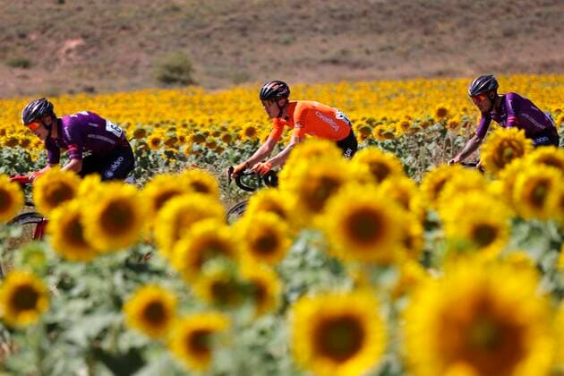 Spanish Angel Madrazo and Carlos Canal, Burgos BH team, and Joan Bou (C), Euskaltel team, in action during the 4th stage of the Spanish Cycling Vuelta in Burgo de Osma, Spain, 17 August 2021. The 4th stage is a 163.9 km-long cycling race from Burgo de Osma to Molina de Aragon. 4th stage of the Spanish Cycling Vuelta !ACHTUNG: NUR REDAKTIONELLE NUTZUNG!  Copyright: xManuelxBruquex GRAF4277 20210817-efa0e196037e7997d4017bcf57ced522f5fd074b