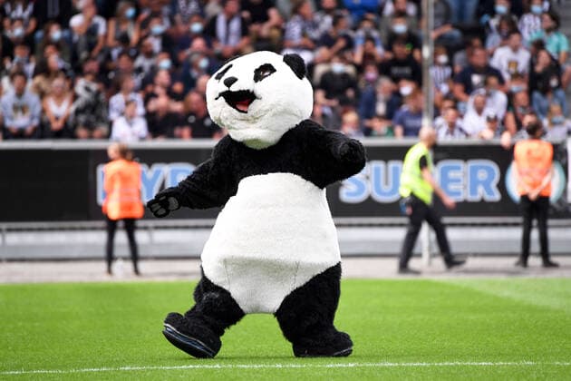 ILLUSTRATION - MASCOTTE FOOTBALL : Angers vs Rennes - Ligue 1 Uber Eats - 29 08 2021 AnthonyBIBARD FEP Panoramic 