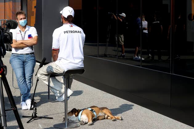 Sport Bilder des Tages 44 Lewis Hamilton (GBR, Mercedes-AMG Petronas F1 Team) and his dog Roscoe, F1 Grand Prix of Italy at Autodromo Nazionale Monza on September 9, 2021 in Monza, Italy. (Photo by HOCH ZWEI) Monza Italy