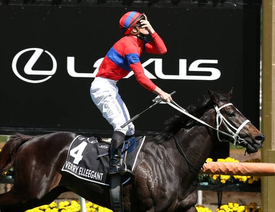 Sport Themen der Woche KW44 Sport Bilder des Tages RACING MELBOURNE CUP, Jockey Chris Waller rides Verry Elleegant to victory in race 7, The Lexus Melbourne Cup, during Melbourne Cup Day, at Flemington Racecourse, Melbourne, Tuesday, November 2, 2021. ( NO ARCHIVING, EDITORIAL USE ONLY, NO USE IN BOOKS WITHOUT CONSENT MELBOURNE VIC AUSTRALIA  Copyright: xHAMISHxBLAIRx 20211102001591943217
