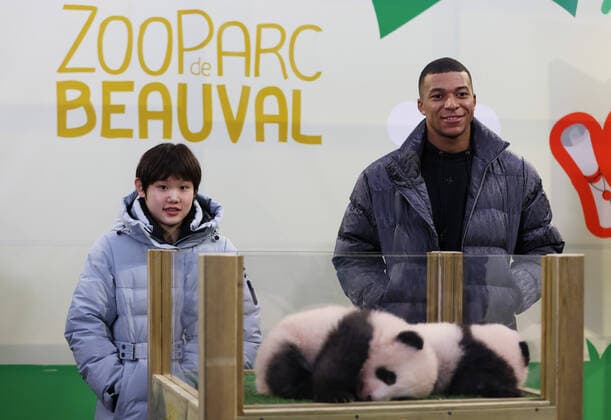 Sport Themen der Woche KW46 (211119) -- BEAUVAL, Nov. 19, 2021 -- Chinese Olympic gold medalist Zhang Jiaqi (L) and French football star Kylian Mbappe (R) pose with panda twin cubs during the official ceremony after unveiling names of the panda twin cubs at Beauval Zoo in central France, Nov. 18, 2021. Chinese Olympic gold medalist Zhang Jiaqi and French football star Kylian Mbappe revealed on Thursday the names of the newborn giant panda cubs at Beauval Zoo in central France. More than 120,000 French netizens have cast their vote to choose Huan Lili and Yuan Dudu from five pairs of names for the twin cubs, zoo officials said, adding that the two names represent the friendship between France and China as well as the wish for good health to the cubs. The twin cubs were born to mother Huan Huan and father Yuan Zai in August. The parents arrived in France in 2012. ) FRANCE-BEAUVAL-PANDA TWIN CUBS-NAMES GaoxJing 