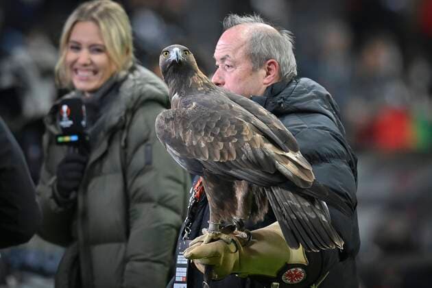 FRANKFURT, GERMANY - NOVEMBER 25 : Attila the mascot of Eintracht Frankfurt during the UEFA Europa League Group stage D match between Eintracht Frankfurt and Royal Antwerp FC on November 25, 2021 in Frankfurt, Germany, 25 11 21 ( Frankfurt v Antwerp FC - UEFA Europa League PhotoNews Panoramic 