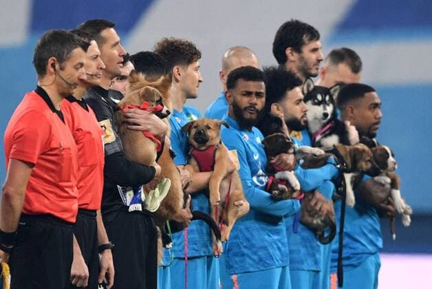 Bilder des Jahres 2021, Sport 12 Dezember Sport Themen der Woche KW48 Sport Bilder des Tages Russia Soccer Premier-League Zenit - Rostov 6712094 03.12.2021 Zenit s players hold shelter puppies as part of the club s Dogs Are Better At Home campaign ahead of the Russian Premier-League soccer match between Zenit St. Petersburg and Rostov Rostov-on-Don, in St. Petersburg, Russia. Alexei Danichev Sputnik St. Petersburg Russia  Copyright: xAlexeixDanichevx