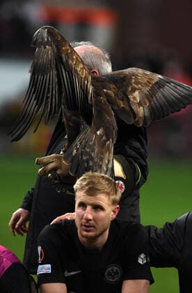 Martin Hinteregger fotografiert am 17.3.22 in Frankfurt beim Fußball Europa League Spiel Eintracht Frankfurt gegen Betis Sevilla. (DFL DFB REGULATIONS PROHIBIT ANY USE OF PHOTOGRAPHS as IMAGE SEQUENCES and or QUASI-VIDEO)