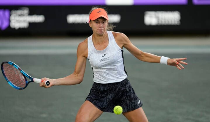 April 8, 2022: Magda Linette (POL) loses to Ekaterina Alexandrova (RUS), 6-0, 6-2 at the CreditOne Charleston Open being played at Family Circle Tennis Center in Charleston, South Carolina, {USA} Tennisclix CSM Charleston USA - ZUMAc04_ 20220408_zaf_c04_106 Copyright: xLesliexBillmanx