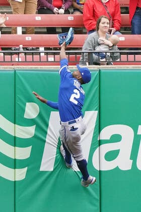 Kansas City Royals Centerfielder Michael A. Taylor climbs the wall to catch a ball off the bat of St. Louis Cardinals Andrew Knizner in the fifth inning at Busch Stadium in St. Louis on Monday, May 2, 2022. St. Louis defeated Kansas City, 1-0.  SLP2022050202 BILLxGREENBLATT