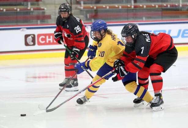 June 7, 2022 - Sweden s Nicole Hall skates with the puck during their game against Canada at LaBahn Ice Arena in Madison, Wisconsin during the 2022 IIHF U-18 Women s World Championship, WM, Weltmeisterschaft Cal Media Madison United States of America - ZUMAc04_ 20220607_zaf_c04_064 Copyright: xRickyxBassmanx
