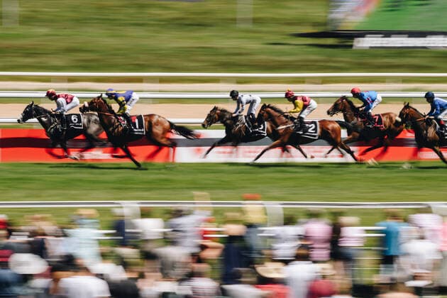 Sport Themen der Woche KW24 Sport Bilder des Tages COLOGNE, GERMANY - JUNE 16, 2022: : Horseracing Feiertags-Renntag Jubiläumspreis during sunny weather. Copyright: xVITALIIxKLIUIEVx