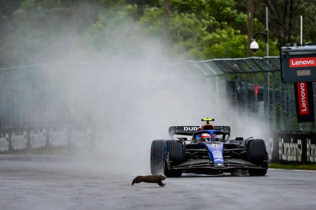 Formel 1, GP Kanada in Montreal, Nicholas Latifi überfährt Murmeltier 6 Nicholas Latifi (CAN, Williams Racing) hits a groundhog, F1 Grand Prix of Canada at Circuit Gilles-Villeneuve on June 18, 2022 in Montreal, Canada. (Photo by HOCH ZWEI) Montreal Canada