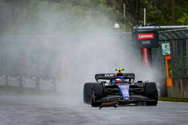 Formel 1, GP Kanada in Montreal, Nicholas Latifi überfährt Murmeltier 6 Nicholas Latifi (CAN, Williams Racing) hits a groundhog, F1 Grand Prix of Canada at Circuit Gilles-Villeneuve on June 18, 2022 in Montreal, Canada. (Photo by HOCH ZWEI) Montreal Canada
