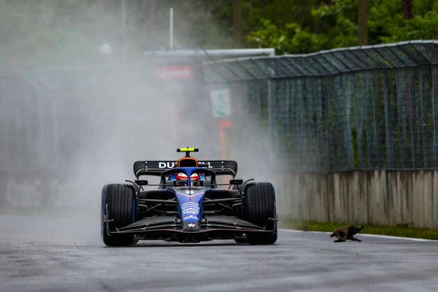 Formel 1, GP Kanada in Montreal, Nicholas Latifi überfährt Murmeltier 6 Nicholas Latifi (CAN, Williams Racing) hits a groundhog, F1 Grand Prix of Canada at Circuit Gilles-Villeneuve on June 18, 2022 in Montreal, Canada. (Photo by HOCH ZWEI) Montreal Canada