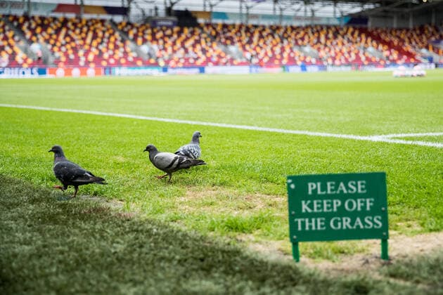 Bilder des Jahres 2022, Sport 07 Juli Sport Bilder des Tages UEFA WOMEN’S EURO ENGLAND 2022: Deutschland - Spanien; 12.07.2022 Tauben picken auf dem Rasen. Davor das Schild: Bitte den Rasen nicht betreten UEFA WOMEN’S EURO ENGLAND 2022: Deutschland - Spanien; Brentford Community Stadium, London, 12.07.2022 *** UEFA WOMENS EURO ENGLAND 2022 Germany Spain 12 07 2022 Pigeons pecking on the lawn In front of the sign Please do not enter the lawn UEFA WOMENS EURO ENGLAND 2022 Germany Spain Brentford Community Stadium, London, 12 07 2022 Copyright: xBEAUTIFULxSPORTS Wunderlx