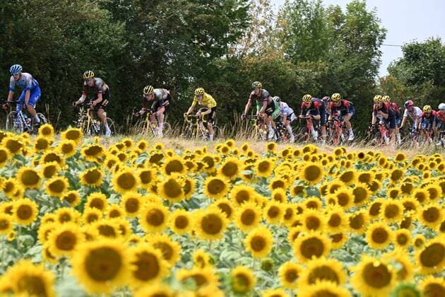 Sport Themen der Woche KW29 Sport Bilder des Tages CAHORS, FRANCE - JULY 22 : Illustration picture of the peloton with Vingegaard Jonas (DEN) of Team Jumbo-Visma during stage 19 of the 109th edition of the 2022 Tour de France cycling race, a stage of 189 kms with start in Castelnau-Magnoac and finish in Cahors on July 22, 2022 in Cahors, France, 22 07 2022 ( Motordriver Kenny Verfaillie - Tour de France 2022 - Stage 19 PhotoNews Panoramic 
