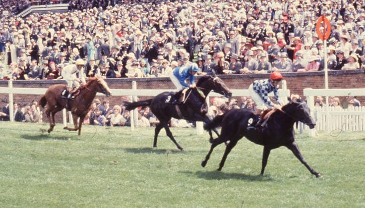 June 18, 1980, Ascot, England, United Kingdom: Many people in attendance watching the finish of 1980 Royal Ascot Horse Race. Ascot United Kingdom - ZUMAk09_ 19800618_jtc_k09_784 Copyright: xKeystonexPressxAgencyx